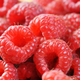 Image for article titled Idiotic Scientists Claim Berry-Gathering Ancestors Made Girls Prefer Pink